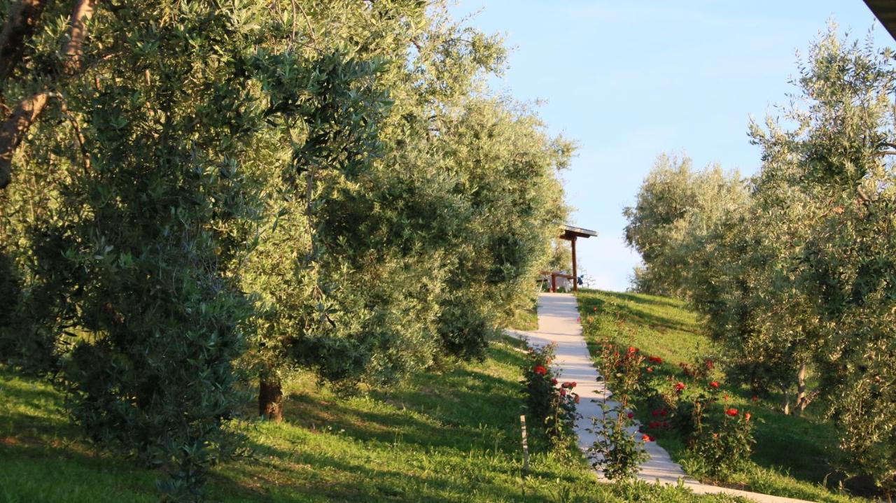 Hotel Agroturizem Bylis Hekal Zewnętrze zdjęcie