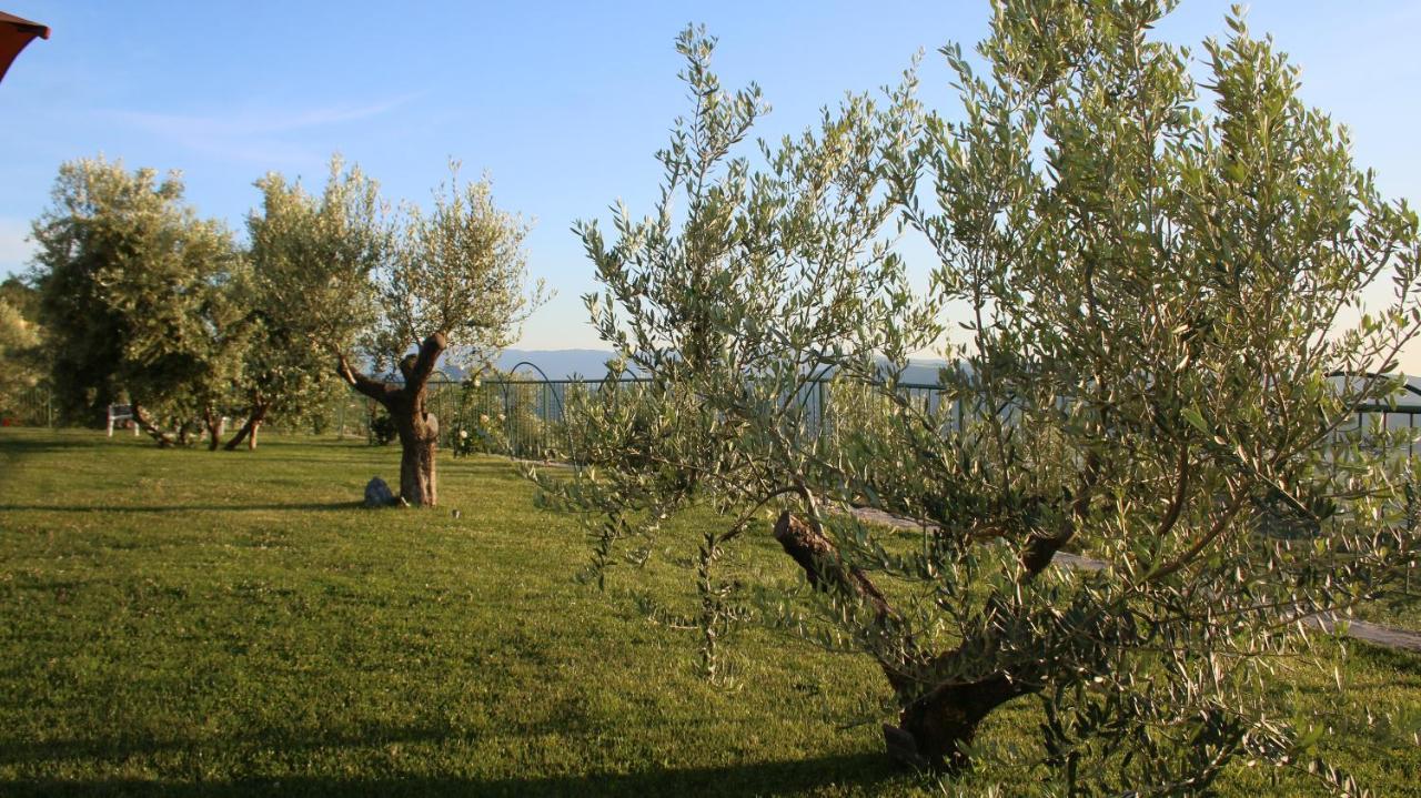 Hotel Agroturizem Bylis Hekal Zewnętrze zdjęcie