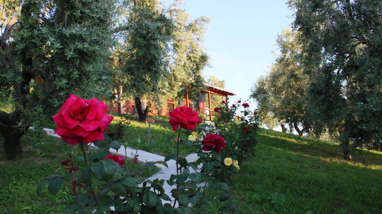 Hotel Agroturizem Bylis Hekal Zewnętrze zdjęcie