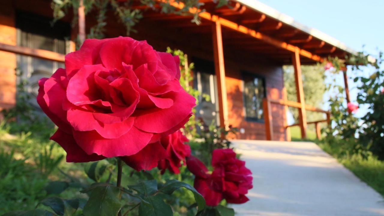 Hotel Agroturizem Bylis Hekal Zewnętrze zdjęcie