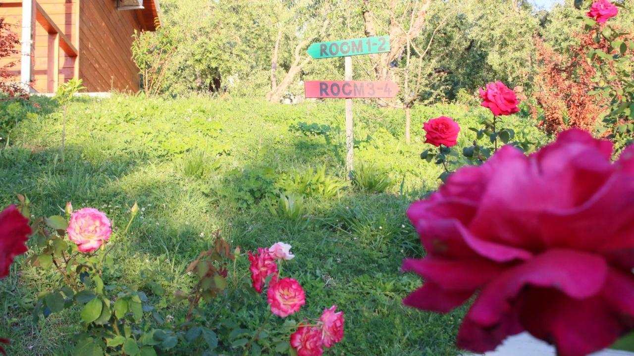 Hotel Agroturizem Bylis Hekal Zewnętrze zdjęcie