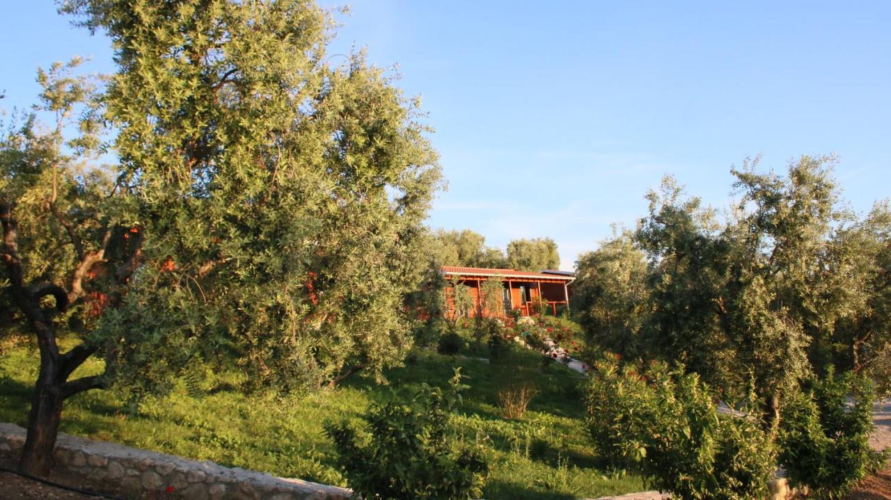 Hotel Agroturizem Bylis Hekal Zewnętrze zdjęcie