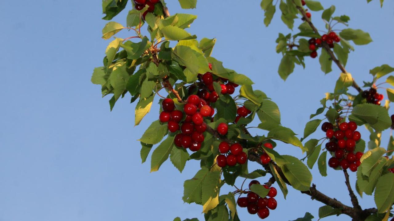 Hotel Agroturizem Bylis Hekal Zewnętrze zdjęcie