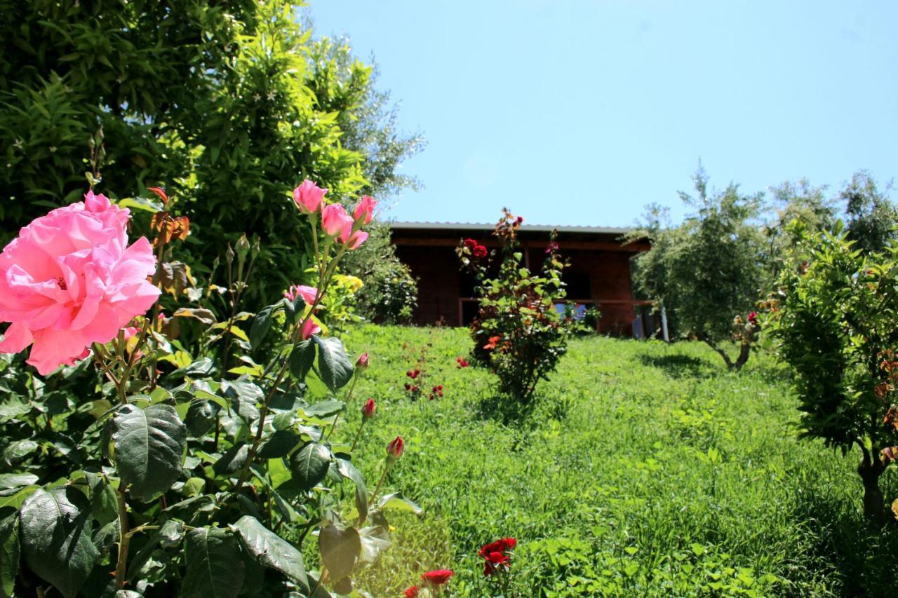 Hotel Agroturizem Bylis Hekal Zewnętrze zdjęcie